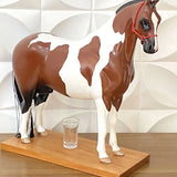 Cavalo Corote  Breyer Horses 2L